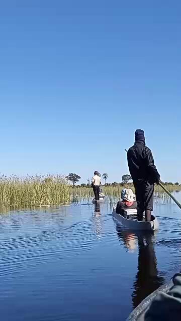 Optional Mokoro trips in the swamps
